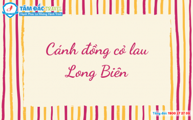 Cánh đồng cỏ lau Long Biên